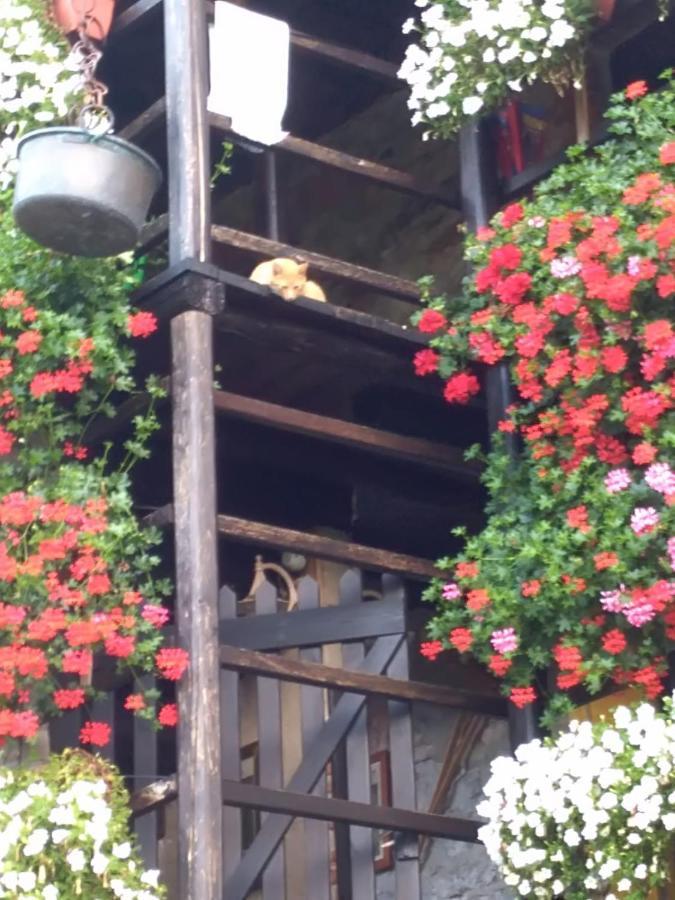 B&B "La Baita Delle Coccinelle" Varallo Extérieur photo