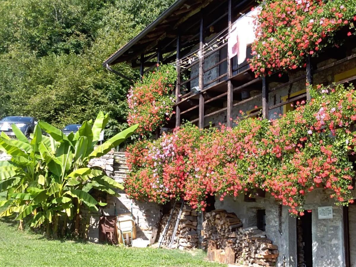 B&B "La Baita Delle Coccinelle" Varallo Extérieur photo